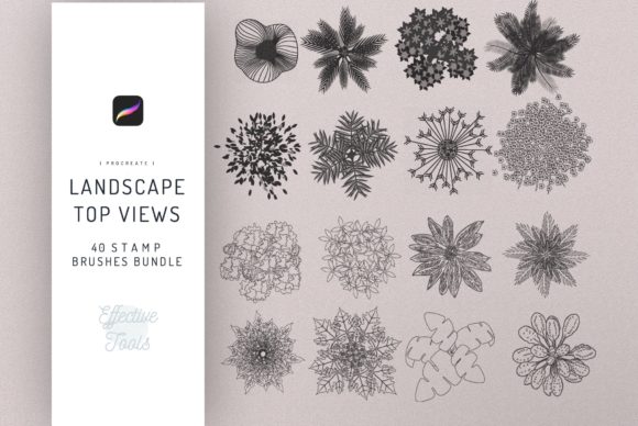 Top-Down Landscape Brushes for Procreate Design